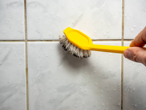 Best Professional Mold Removal  in Winter Haven, FL